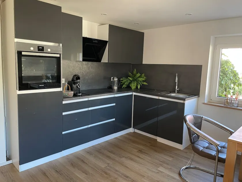 Newly renovated apartment - Image 1
