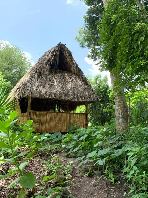 The cabin! - Image 1