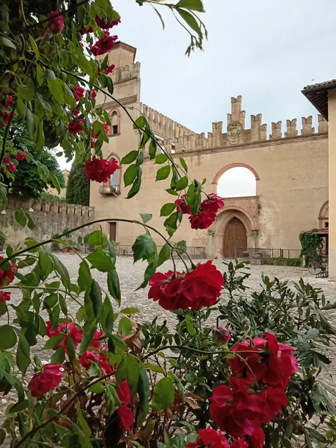 In the village of Via Palazzo Rossi/Via Degli Dei/Ciclovi - Image 1