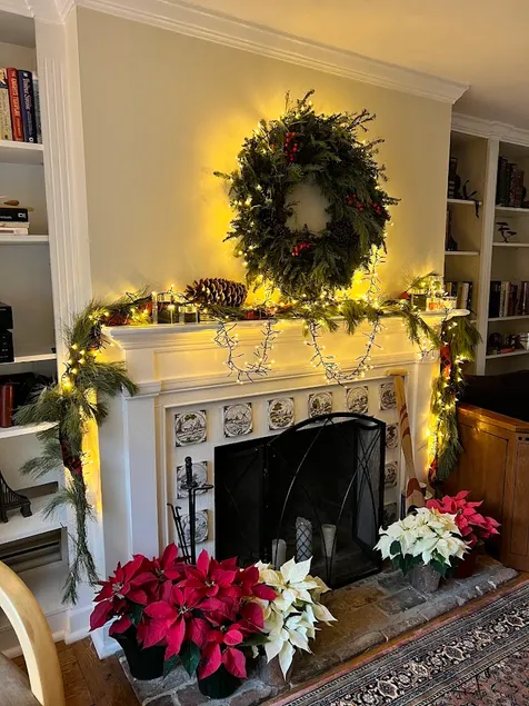 Holiday Seasons at Stylish Home in Old Town - Image 1