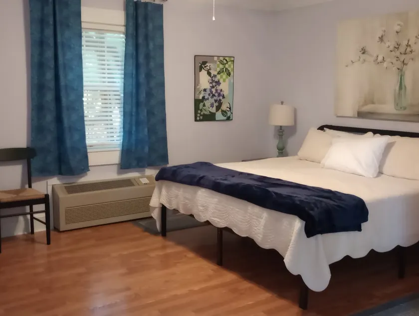 Pet friendly, king size bed, private cottage - Image 1