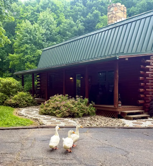 Cabin at Saltcreek Pond~Family’s~Fishing~HotTub - Image 1