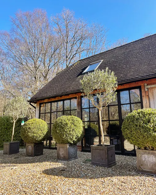 Idyllic Cottage in the heart of The South Downs - Image 1