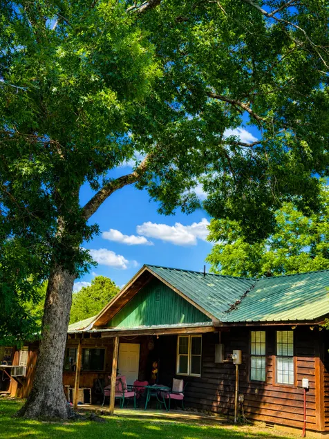 Old Bear Family Lodge ~ Fishing Pond ~ Spa Bath ~ Where Families Reconnect - Image 1