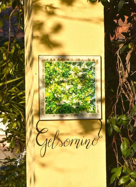 ”Il Gelsomino” Apartment - Image 1