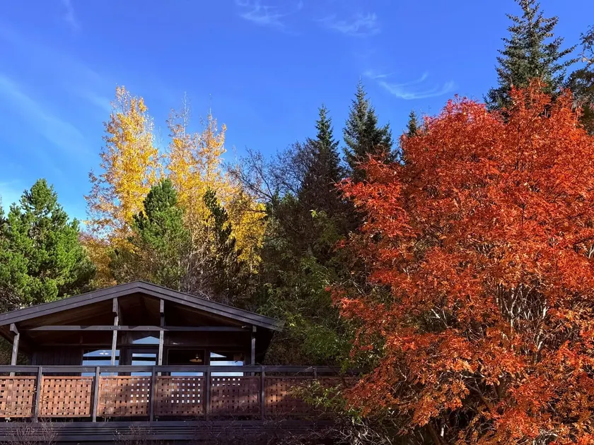 Lovely Cabin in the Capital Area with hot tube - Image 1