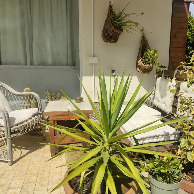 Francesca's Apartment - Image 1