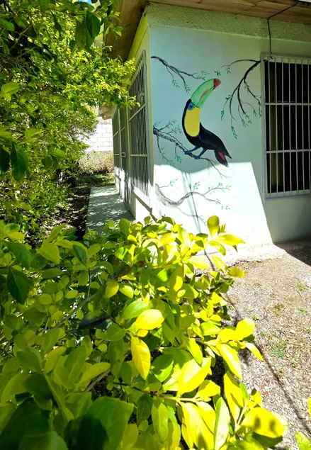 Hostel Cattleya - Monteverde, Costa Rica - Image 1