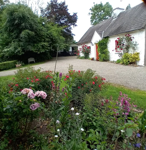 O'Neill's Self Catering Cottage- close to Cashel - Image 1