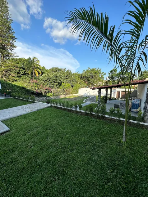 The house of the Tulips, Brisas de Cuautla - Image 1
