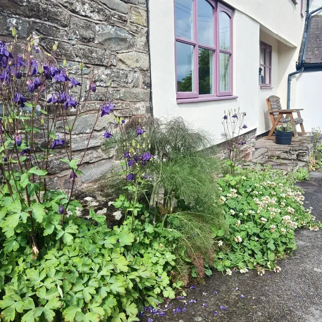 A little cottage in a little village. - Image 1