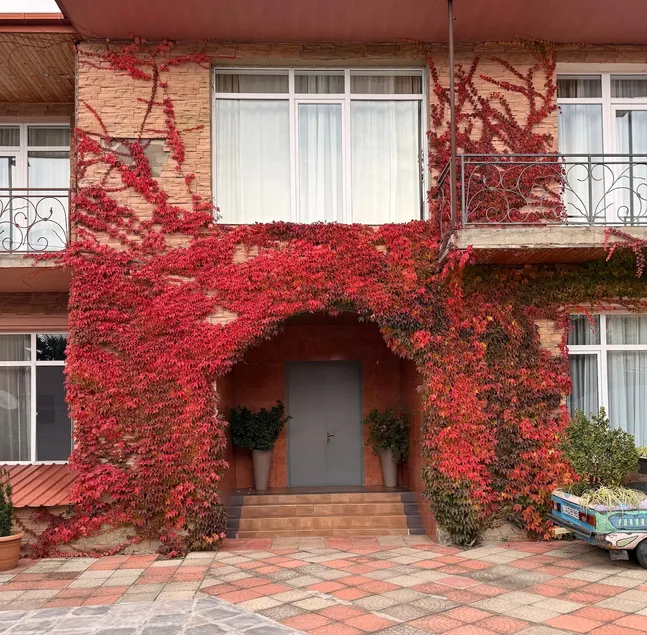 Tatikos villa - Image 1