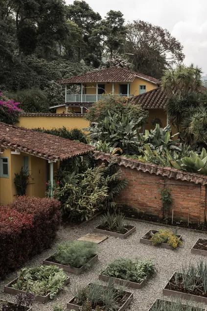 HACIENDA LA SIERRA Finca cafetera de lujo Fredonia - Image 1