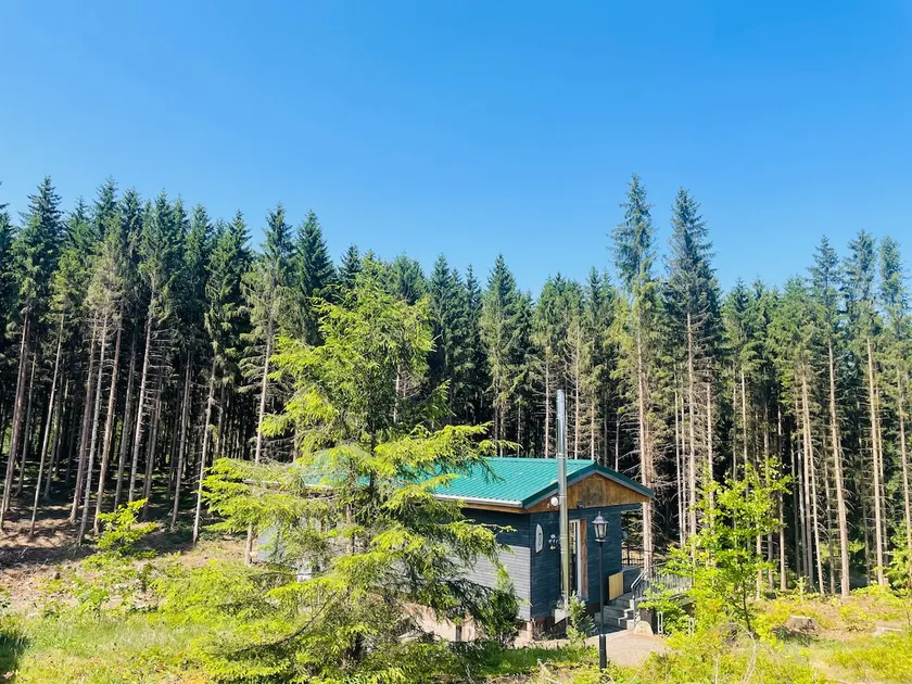 Vacation home “Gina” on the edge of the forest - Image 1
