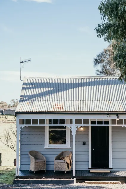 Oak Moss - Image 1