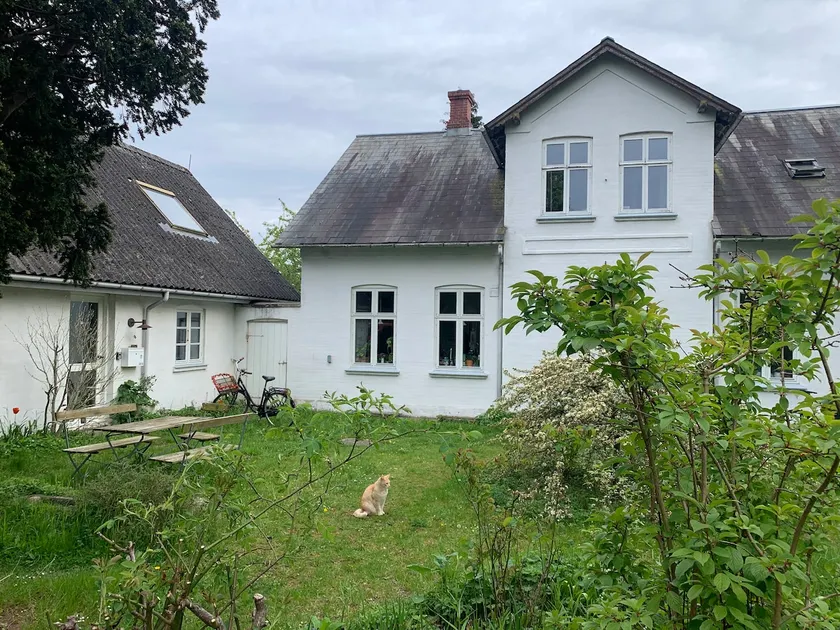 Smoke-free ECO B&B in Svendborg - Image 1