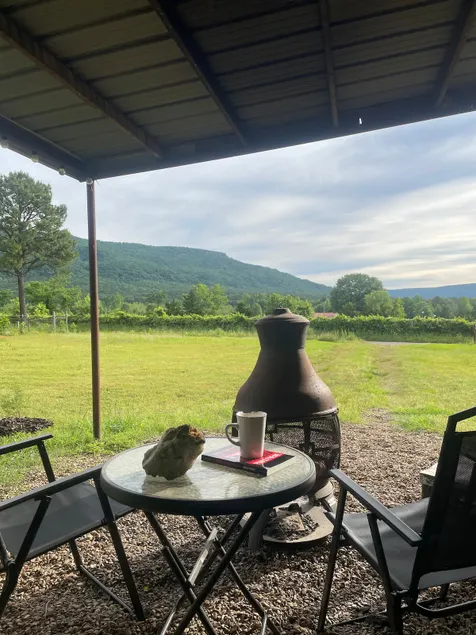 The May House, panoramic views in tranquil setting - Image 1
