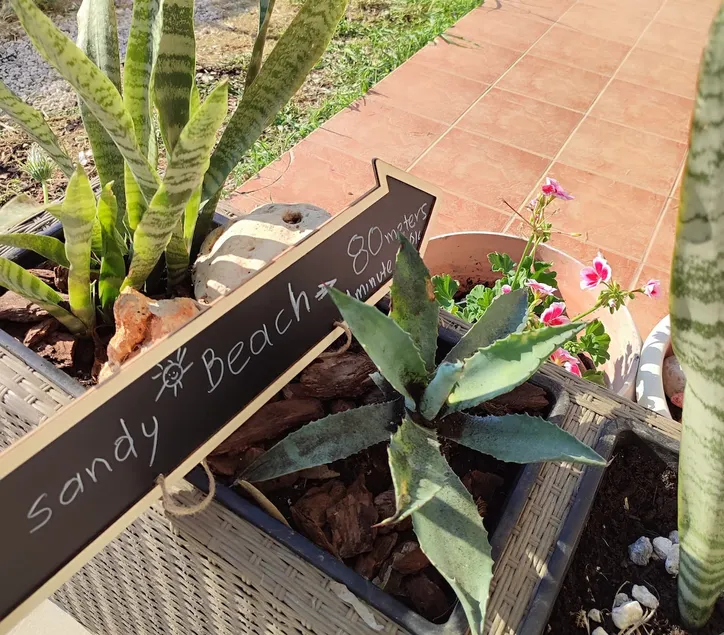 Cozy Holiday House next to Sandy BEACH, sleeps 5 ,two storey 75 m2 in Almyrida - Image 1