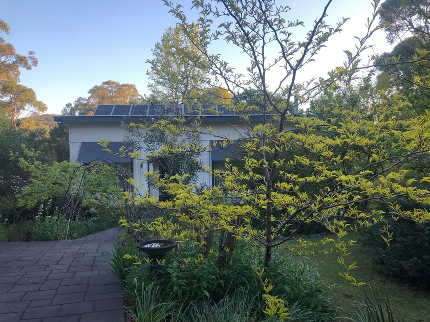 Bird Hill - A Garden Retreat in the Yarra Valley - Get Up Close to Native Birds - Image 1