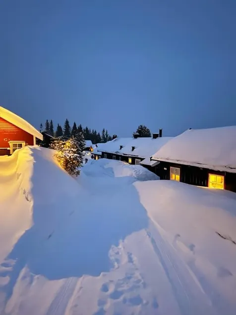 SKI IN/OUT Norefjell cozy cabin! - Image 1