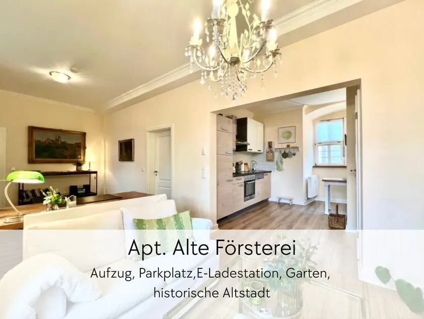 Alte Försterei apartment: with elevator, parking, garden - Image 1