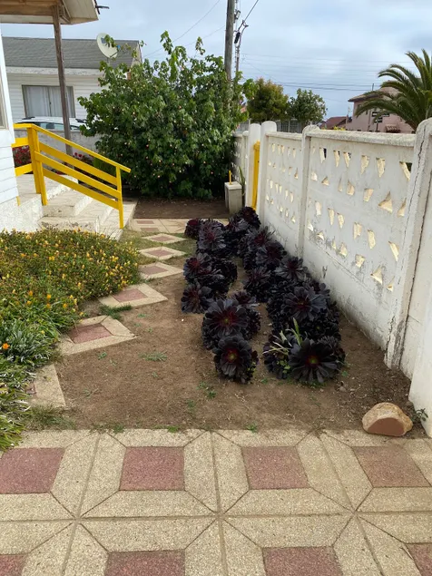 Algarrobo Norte/2 - Image 1