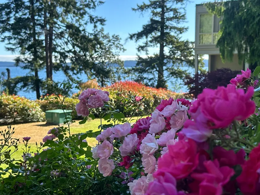 Sept 1-13 available Oceanside Pool/Hot Tub/Dock - Image 1