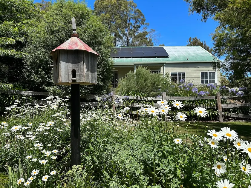 Birdsnest, garden cottage nestled near Launceston - Image 1