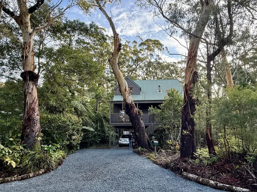 Rainforest Retreat Waterfalls Walks Woodfire Views - Image 1