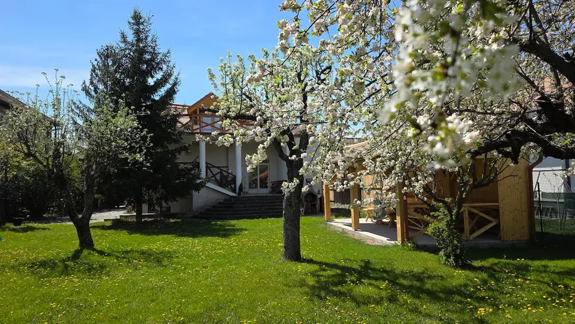 Incredibile casa con bellissimo giardino, 5 camere da letto, terrazza, nel centro della città - Image 1