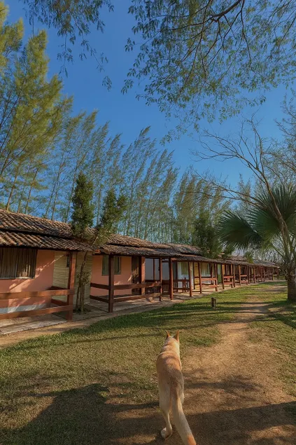 Family site to relax and enjoy nature - Image 1