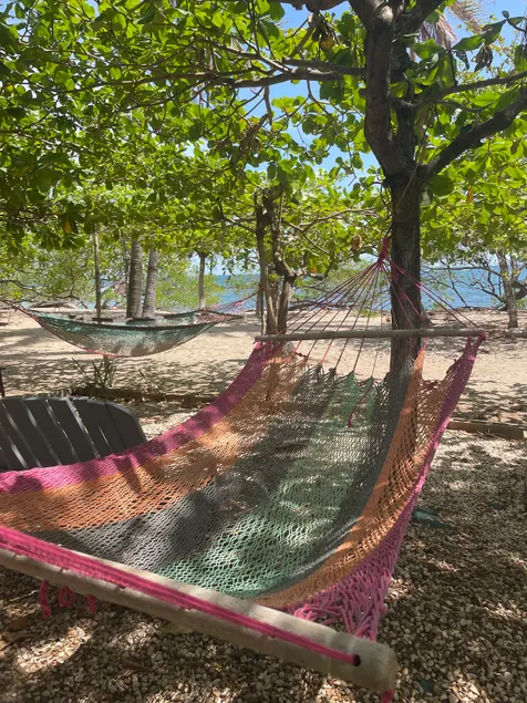 Rita Sonny Tropical Surf Cabina - Image 1