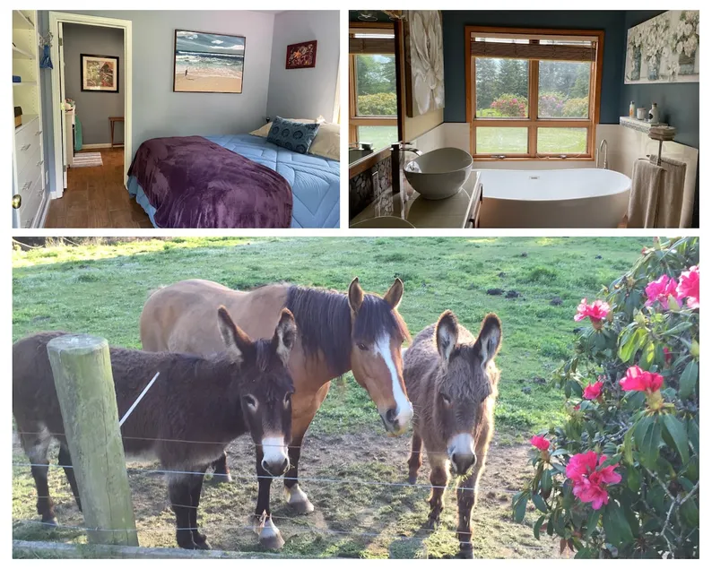 Cozy & Private in the Country-Chic ”Blue Room” - Image 1