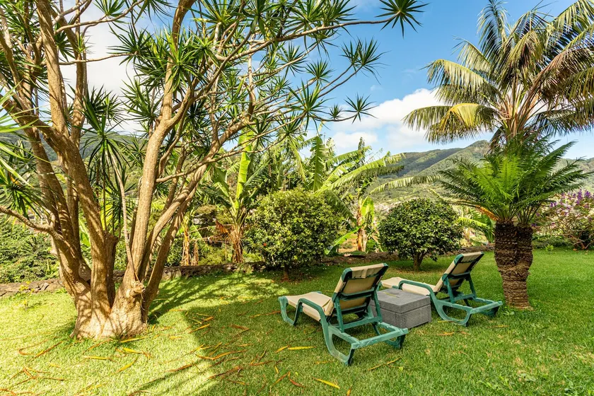 Madeira Apartment: 25% Off MAY (2–3 pax) - Image 1