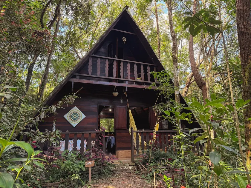 Chalet in the Forest · Natural Retreat - Image 1