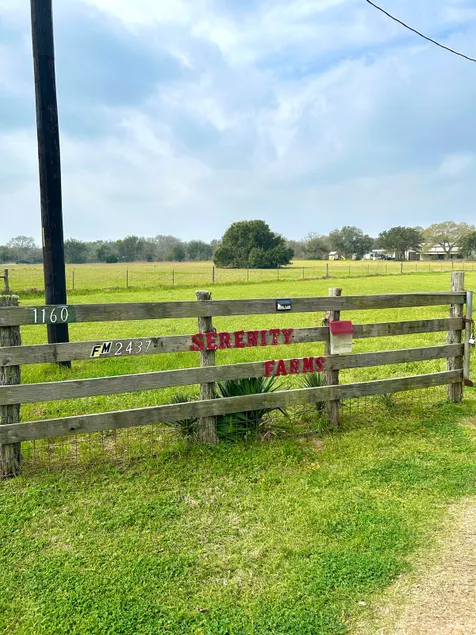 Serenity Farms: Sheridan, TX - Image 1