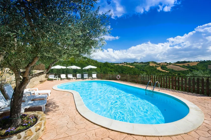 Farmhouse and Pool amid olive grooves| Assisi 20km - Image 1