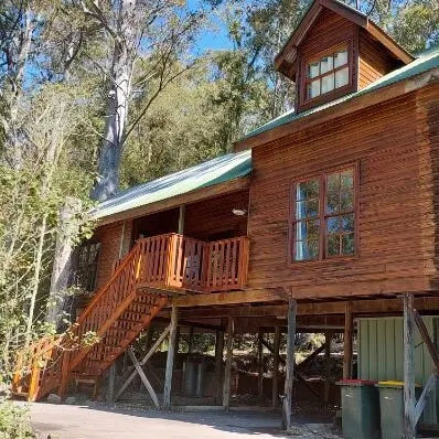 Forest cabin 2 br : swim hike tennis relax - Image 1