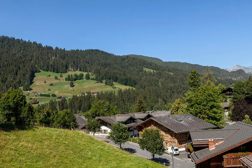 CENTRAL BEAUTIFUL GSTAAD APARTMENT - Image 1