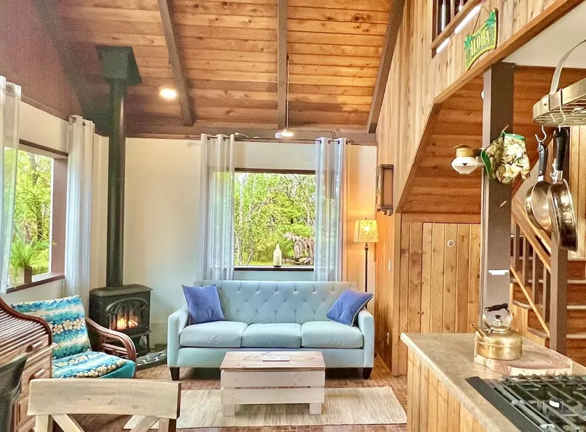 Rustic Cabin in Volcano Rainforest with Fireplace - Image 1