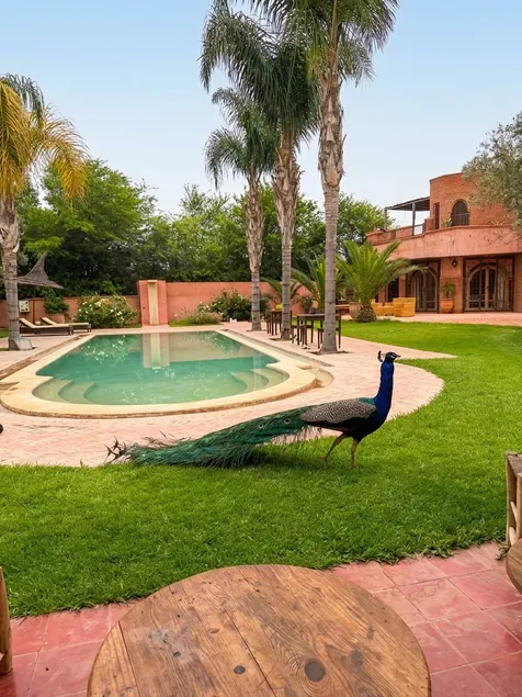 RIAD - Jnan Bnati - Pool - Image 1
