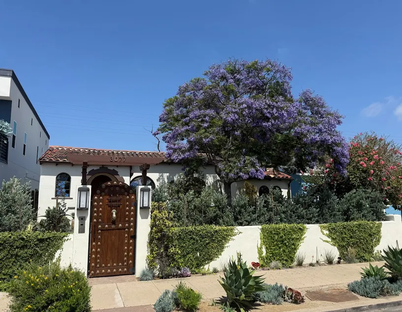 Private Patio Garden Suite in North Park on Canyon - Image 1