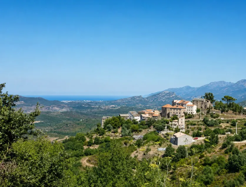 Between Saint-Florent, Cap Corse, and the Balagne - Image 1