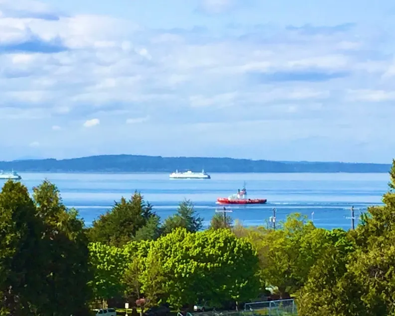 Seattle Luxury Water View- walk to Alki Beach! - Image 1