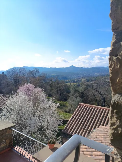 Apartamento Pineta - Image 1