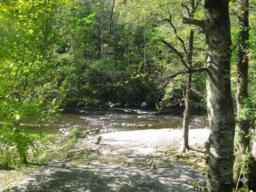 River Access ☀Easy Access ☀Hot Tub ☀Sleeps 4 ☀Well Equipped - Image 1