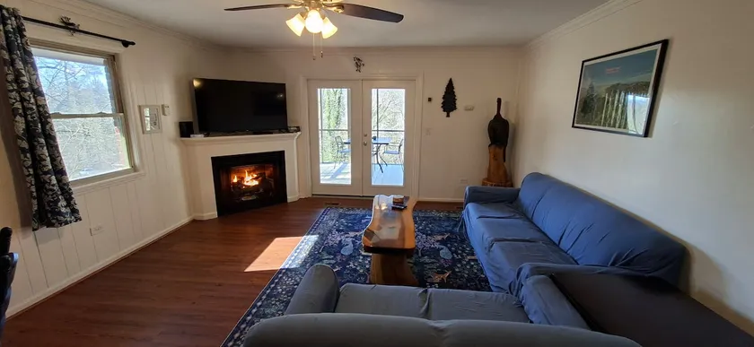 Pisgah Shadows Cottage - Hot Tub - Grill - Fireplace - WiFi - Pets OK - Image 1