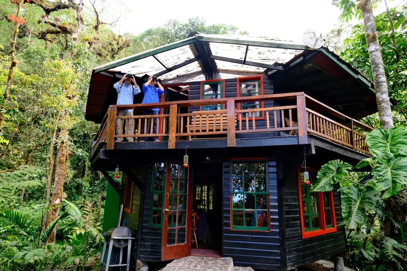 Highest Eco-Cabin in Panama! Jungle-lodge - Image 1