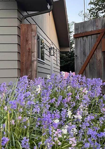 The Alder Plank - Summer Garden Suite - Image 1