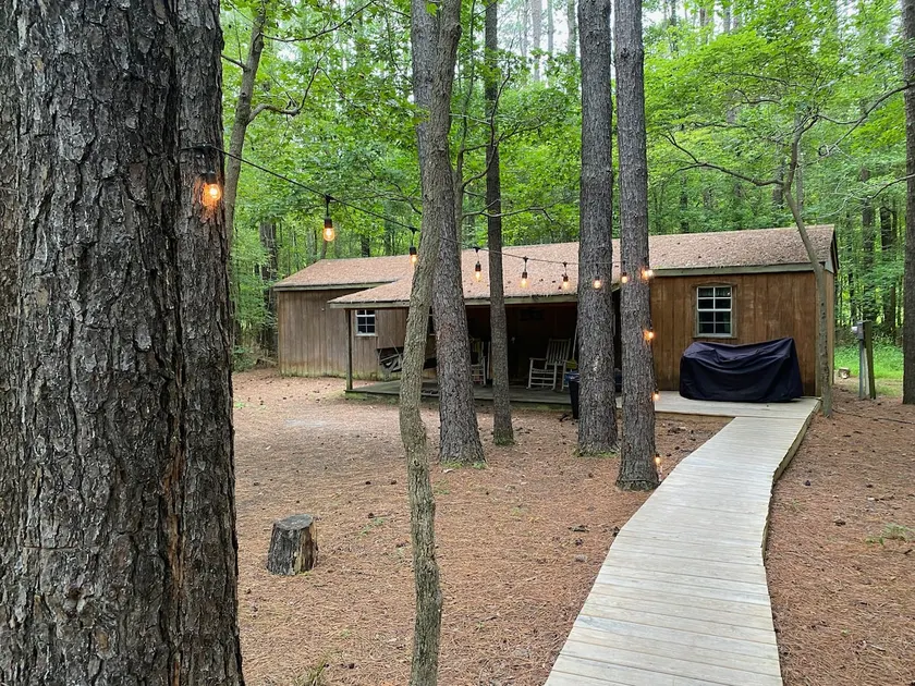 Little Shack In The Woods - Image 1